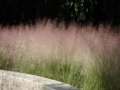 -苏州河梦清园环保主题公园