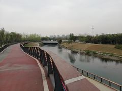 -府河摄影公园