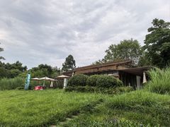 -桤木河湿地公园