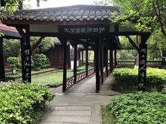 -桂湖森林公园