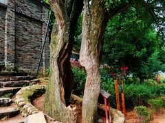 -磐安舞龙峡景区