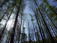 -洛阳白云山景区