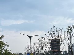 -黄鹤楼公园(黄鹤楼)