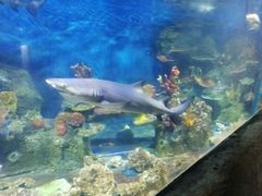 -泉州海丝野生动物世界