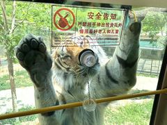 -栾川竹海野生动物园