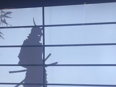-牛武士寿喜烧·和牛火锅自助(全球首店)