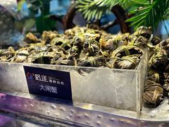 -乔哥铭洋海鲜自助(皇城恒隆广场店)