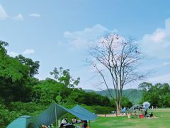 -大屏嶂森林公园