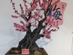 -颐和园