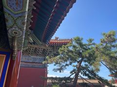 -北京市劳动人民文化宫(太庙)