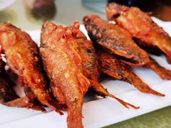 -小北江河鲜(新城店)