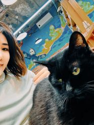 -竹马造型工作室