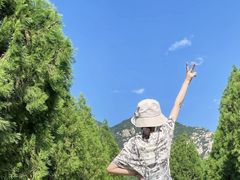 -禅宗少林·音乐大典