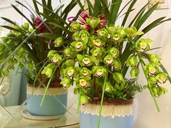 -爱尚花坊(大林路店)