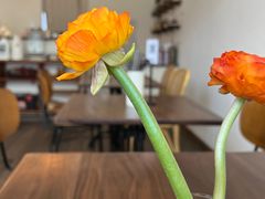 -肥朵食堂(带梦胡同店)