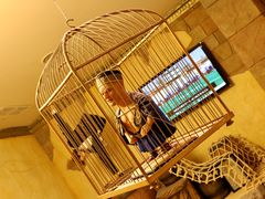 -信不信由你博物馆