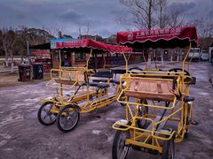 -上海长兴岛郊野公园