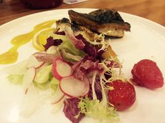 -more than meow吴止猫主题餐厅(承德 中船汇店)