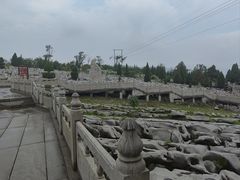 -原山国家森林公园