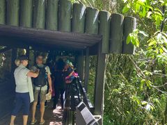 -怀托摩萤火虫洞