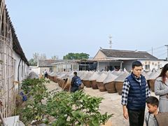 -苏州市吴中区光福窑上花果蜜饯厂