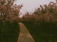 -福建鲤鱼洲酒店