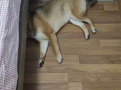 -双喜老铺(人民广场店)