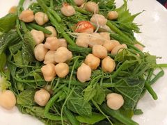 清炒南瓜尖儿-巴依老爷新疆美食(望京小街店)