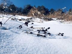 -秦岭风景区