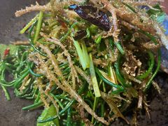 野生鹿角菜沙葱-纳鲁孜·新疆特色餐厅(上海悦荟广场店)