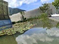 -中国宣纸文化园