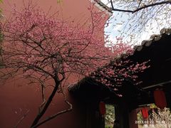-钱王祠
