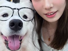 -汪说·狗咖·拼豆·宠物周边DIY(旺城大厦店)