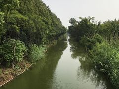 -上海长兴岛郊野公园