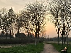 -贡湖湾湿地公园