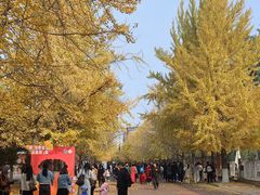 -辽宁大学(崇山校区)