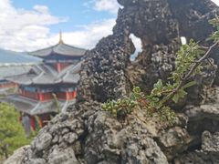 -木府