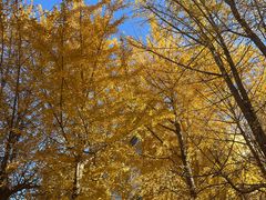 -辽宁大学(崇山校区)