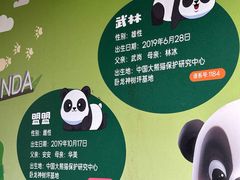 -武汉动物园