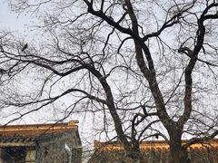 -老门东历史文化街区