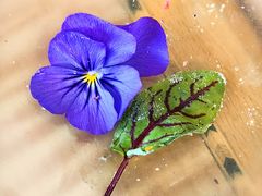 -国宾酒店-花园咖啡自助餐厅(北营房中街店)