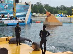 -秦皇岛乐岛海洋王国