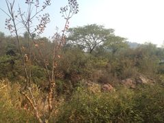 iphone_upload_pic-三山岛