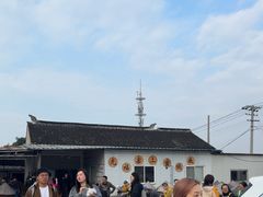 -苏州市吴中区光福窑上花果蜜饯厂