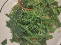 农家丝瓜苗-火齐潮汕砂锅粥(五道口店)