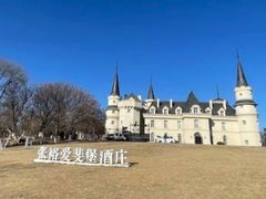 -北京张裕爱斐堡酒庄