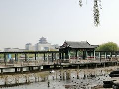 -莲花池公园