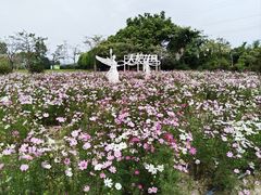 -广东花都香草世界旅游度假区