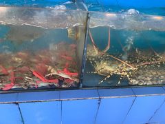 水产区-七鲜渔港美食餐厅(巽寮湾海景店)