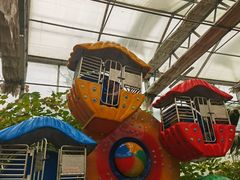 -南宫五洲植物乐园